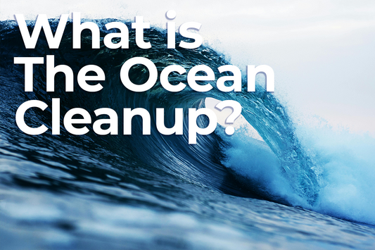 How The Ocean Cleanup Helps Eliminate Ocean Pollution